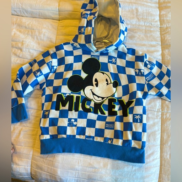 Other - Zara kids hoodie